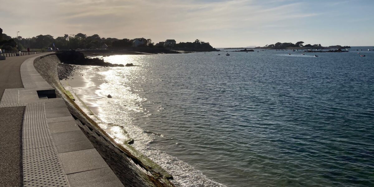 La force de l’océan face à la faiblesse du leadership humain