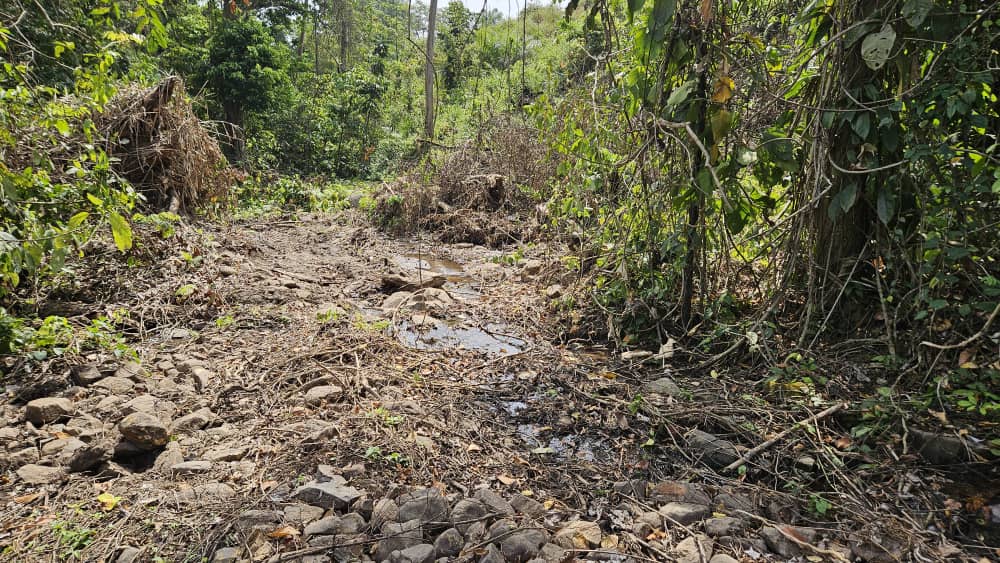 Biodiversité en péril : protéger la nature, c’est sauver l’humanité